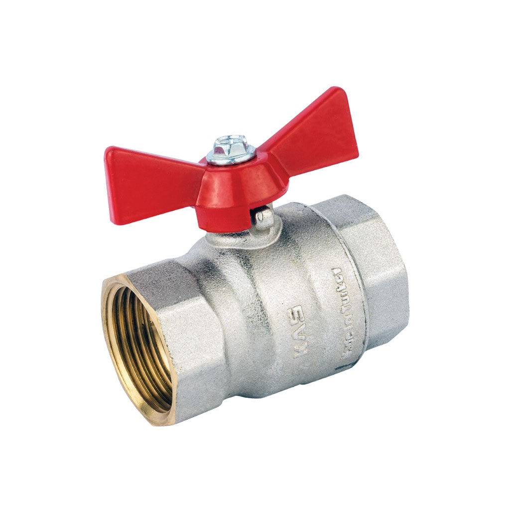 Globe Valve